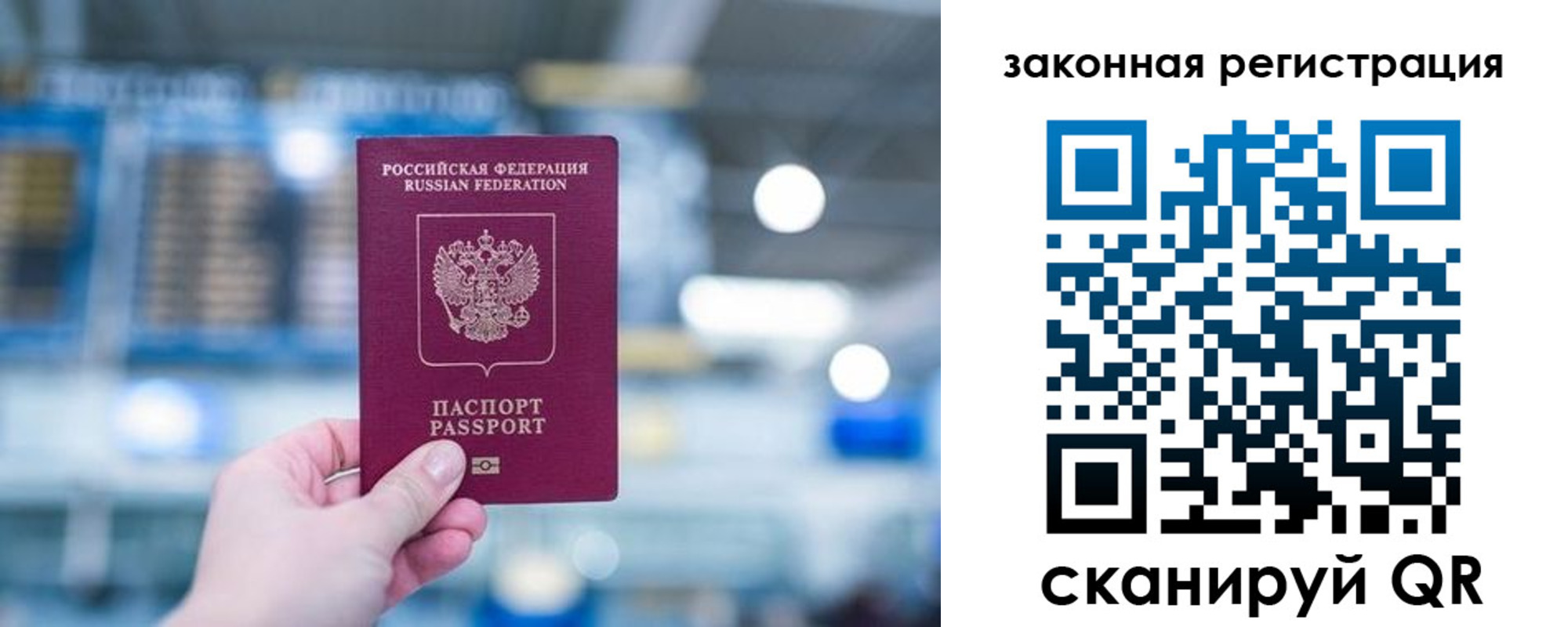 прописка поиск в Видном